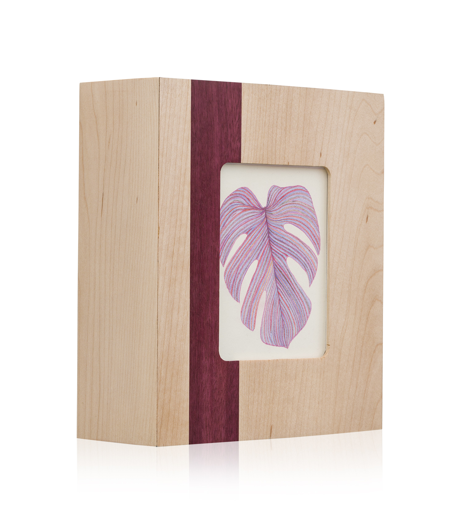 Monstera Drawing Solo 3_1